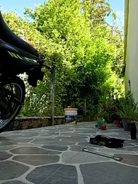 sebasxx97 webcam model stream image