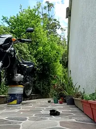 sebasxx97 webcam model stream image