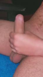 Pinguino08 webcam model stream image