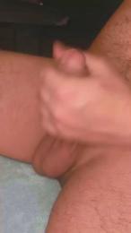 Pinguino08 webcam model stream image
