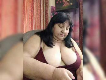 Nezsbudka webcam model stream image