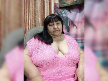 Nezsbudka webcam model stream image