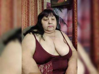 Nezsbudka webcam model stream image