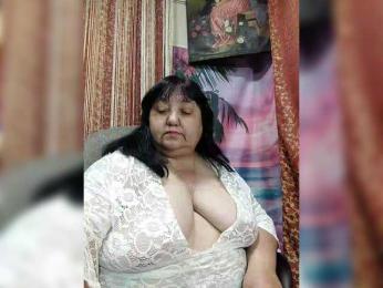 Nezsbudka webcam model stream image