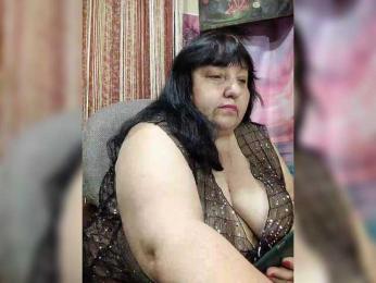 Nezsbudka webcam model stream image