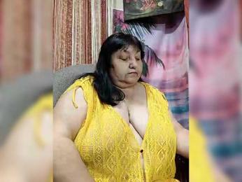 Nezsbudka webcam model stream image