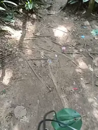 UrsoBissexualPauGrosso webcam model stream image