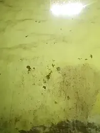 YourTeenBoy21 webcam model stream image