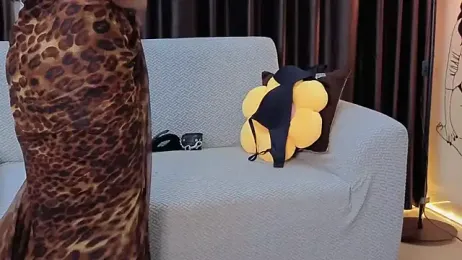 Wow-nisha webcam stripchat model stream image