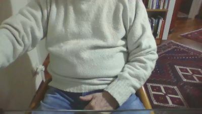 costan3 webcam cam4 model stream image