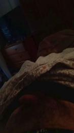 davidof3127 webcam model stream image