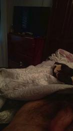 davidof3127 webcam model stream image