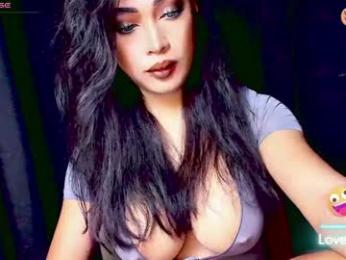 sexylongcockbunny webcam model stream image