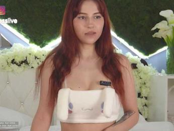 rosess_ webcam model stream image