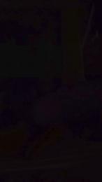 Vikingodelsur webcam model stream image