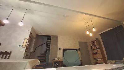 Goflame webcam model stream image