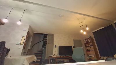 Goflame webcam model stream image