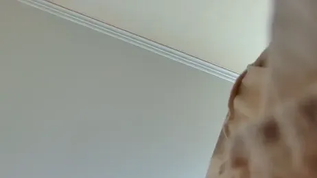 MiaAndWilliam webcam model stream image