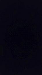 Landry84 webcam model stream image