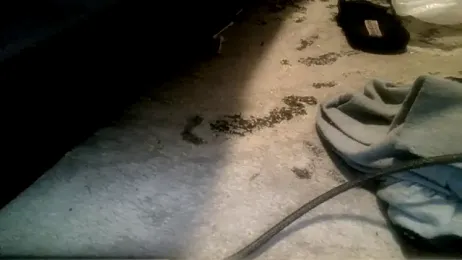 ThICk_JuIcEy webcam model stream image