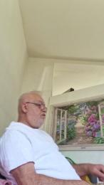 Sohucu webcam model stream image