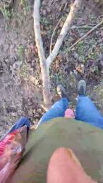 Gym2 webcam model stream image