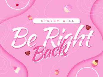 bjliki webcam model stream image