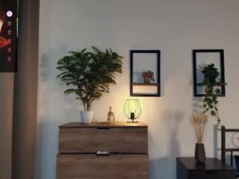 sellectorry webcam model stream image