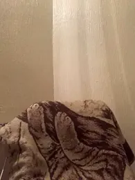 veilofstrength webcam model stream image