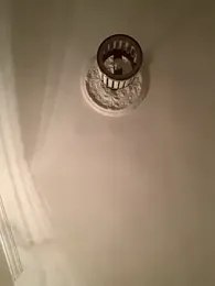 veilofstrength webcam model stream image