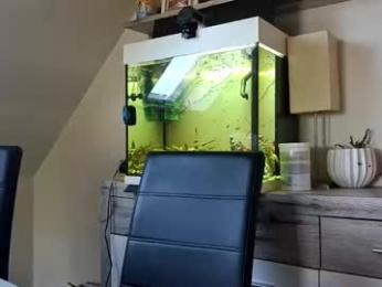 denise_brad webcam chaturbate model stream image