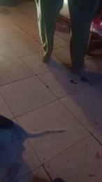 nataly_sexxx webcam model stream image