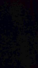 nataly_sexxx webcam model stream image