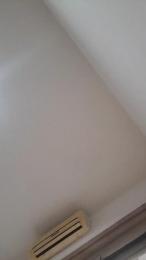 mica224 webcam model stream image