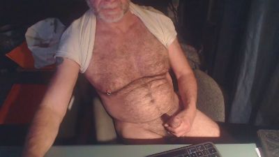 ptibear1 webcam model stream image