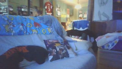 Laputita2023 webcam cam4 model stream image