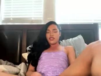 dynasty313 webcam chaturbate model stream image