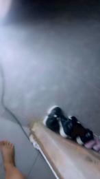 Hot_andrypee webcam model stream image