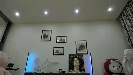 dolly_ll webcam model stream image