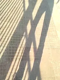 honeypani webcam stripchat model stream image