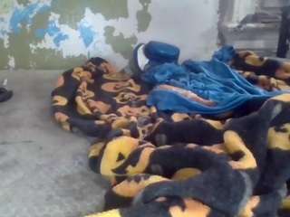 elmonstro690 webcam model stream image