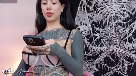 antoniaacxx webcam stripchat model stream image