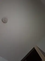 Andrestarr webcam model stream image