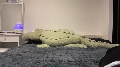 tora3220 webcam model stream image