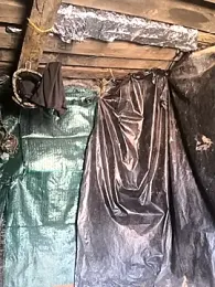 lamejorpene webcam model stream image