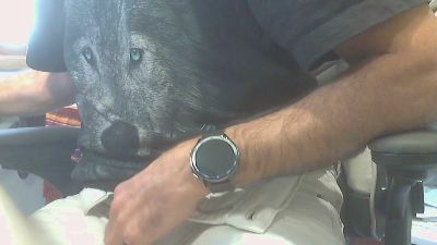 chupatorman webcam model stream image