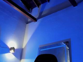 Tony Petrov webcam flirt4free model stream image