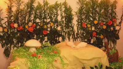 Cataleya_666 webcam model stream image