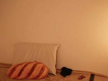 STANOVAYA300KG webcam model stream image