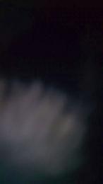 Betovenpro webcam cam4 model stream image